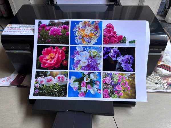 Máy in Epson T60 cũ