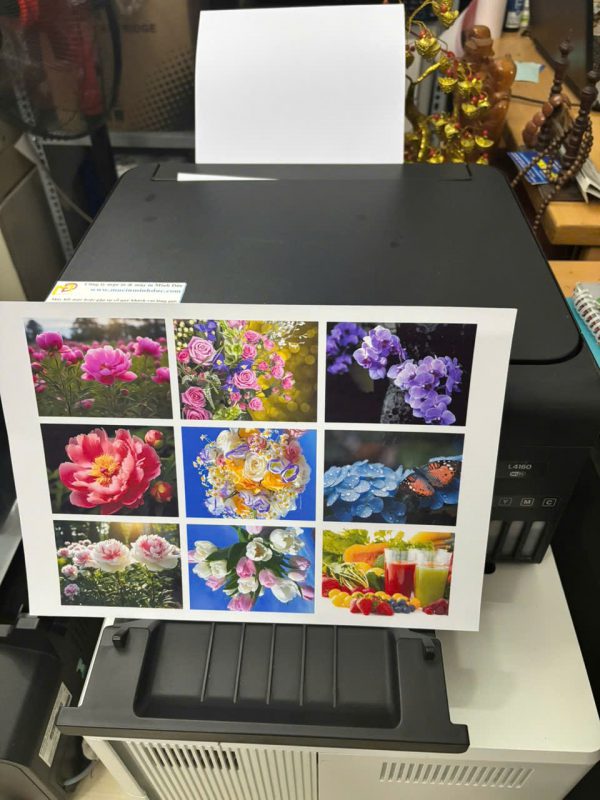 Máy in Epson L4160 cũ