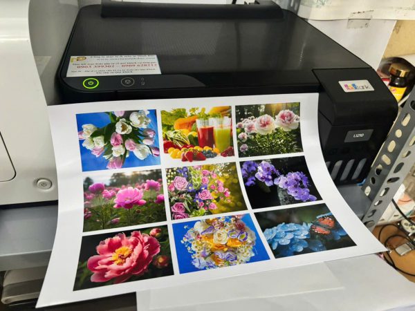 Máy in Epson L1210 cũ