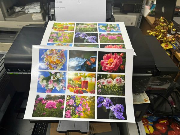 Máy in Epson L805 cũ